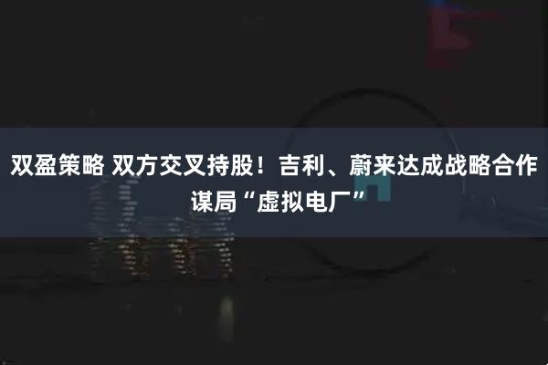 双盈策略 双方交叉持股！吉利、蔚来达成战略合作 谋局“虚拟电厂”