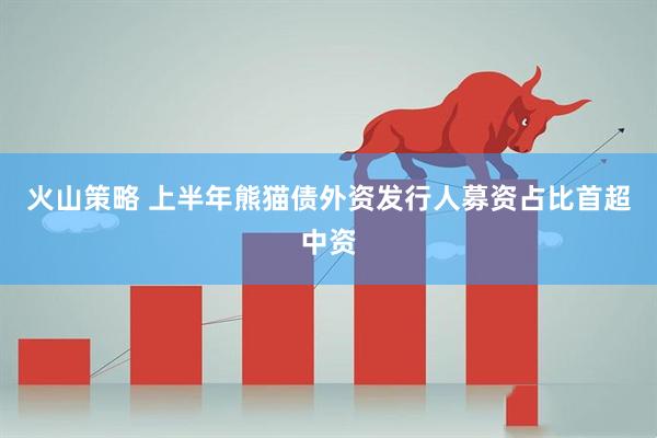 火山策略 上半年熊猫债外资发行人募资占比首超中资