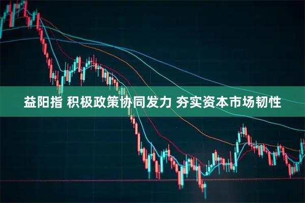 益阳指 积极政策协同发力 夯实资本市场韧性