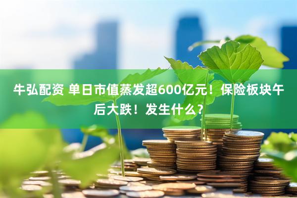 牛弘配资 单日市值蒸发超600亿元！保险板块午后大跌！发生什么？
